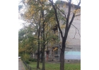 Сдается комната в квартире.