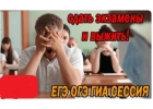 Репетиторы по всем предметам.