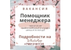 информационный менеджер